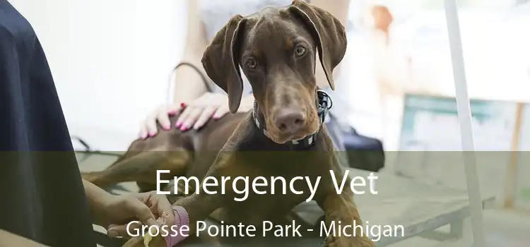 Emergency Vet Grosse Pointe Park - Michigan