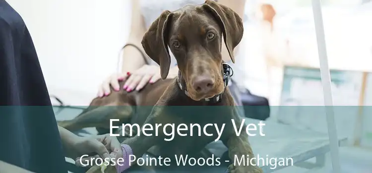 Emergency Vet Grosse Pointe Woods - Michigan