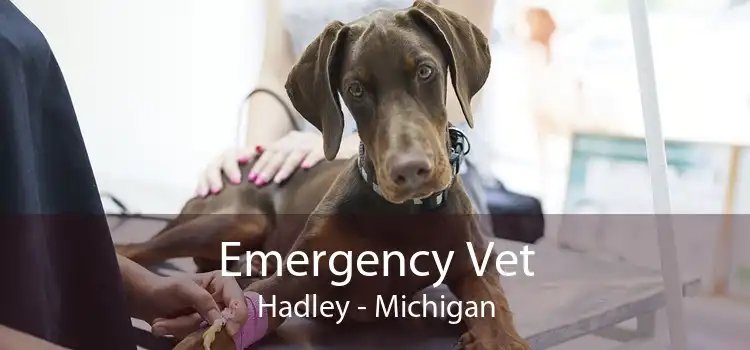 Emergency Vet Hadley - Michigan