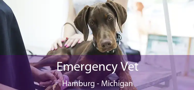 Emergency Vet Hamburg - Michigan