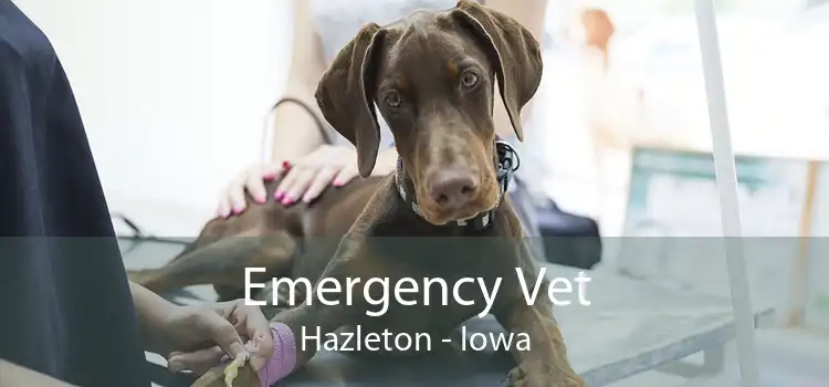 Emergency Vet Hazleton - Iowa