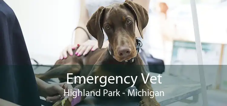 Emergency Vet Highland Park - Michigan