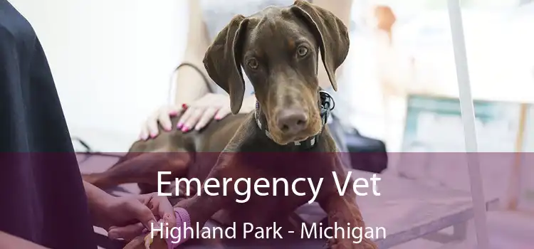 Emergency Vet Highland Park - Michigan