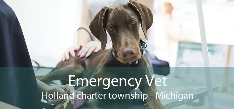 Emergency Vet Holland charter township - Michigan