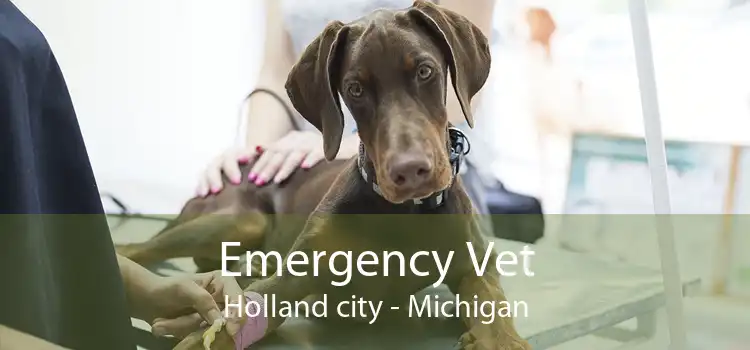 Emergency Vet Holland city - Michigan