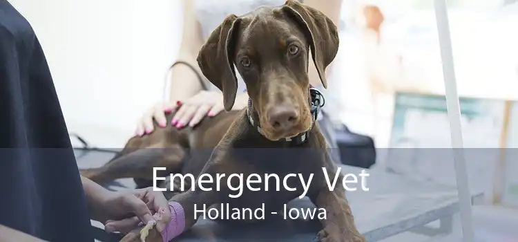 Emergency Vet Holland - Iowa