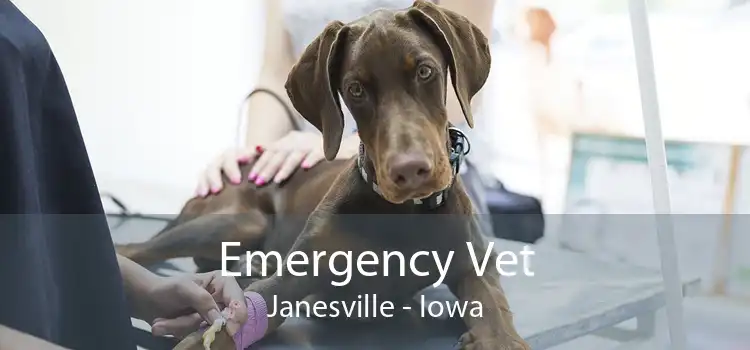 Emergency Vet Janesville - Iowa