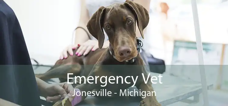 Emergency Vet Jonesville - Michigan