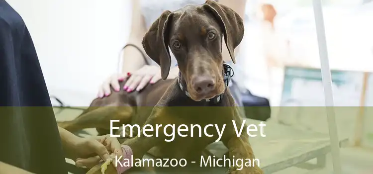 Emergency Vet Kalamazoo - Michigan
