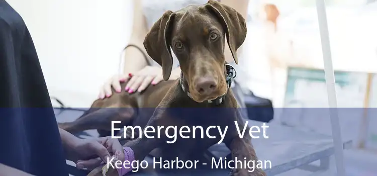 Emergency Vet Keego Harbor - Michigan