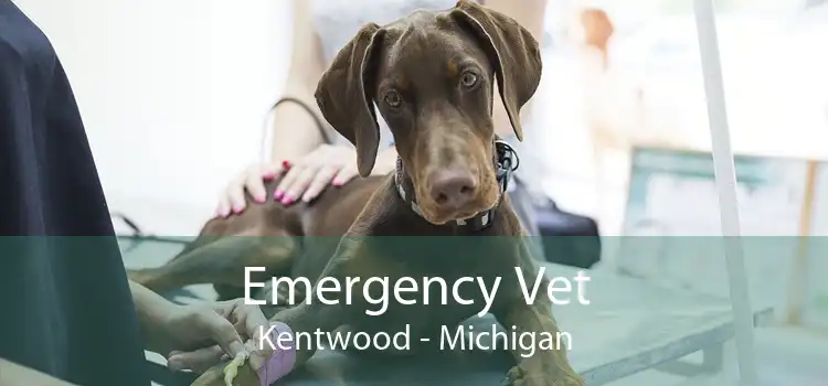Emergency Vet Kentwood - Michigan