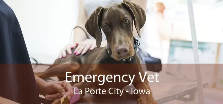 Emergency Vet La Porte City - Iowa