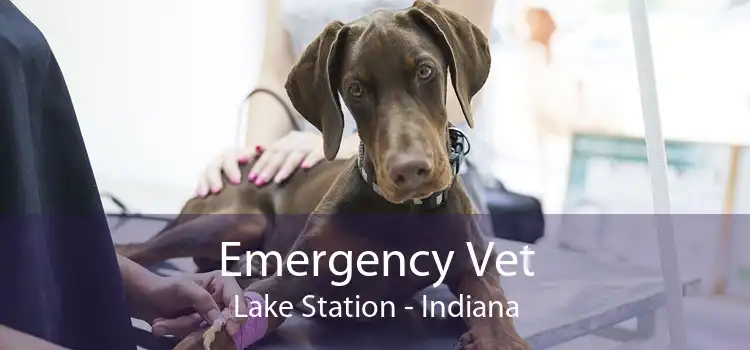 Emergency Vet Lake Station - Indiana