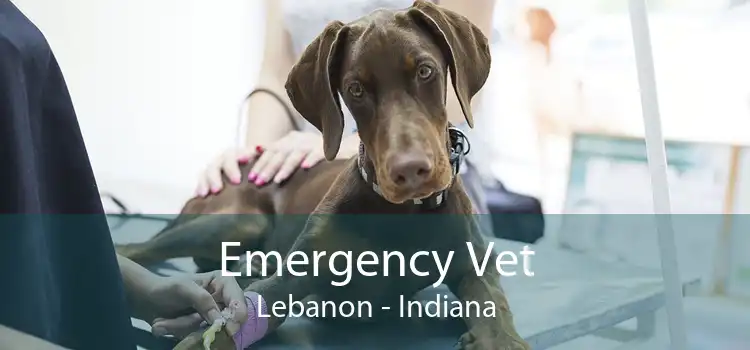 Emergency Vet Lebanon - Indiana