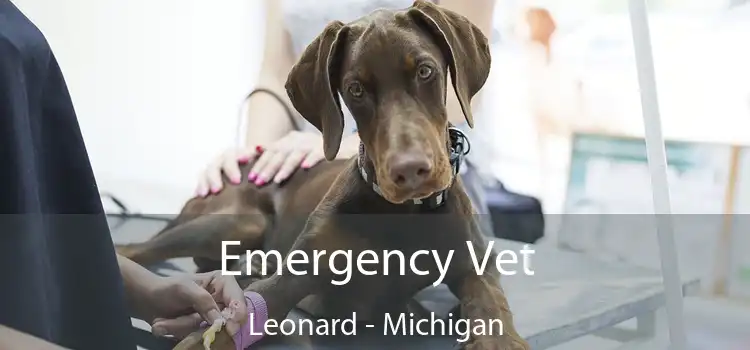 Emergency Vet Leonard - Michigan