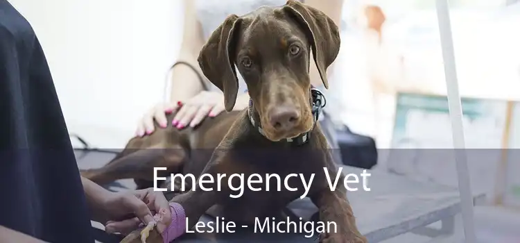 Emergency Vet Leslie - Michigan