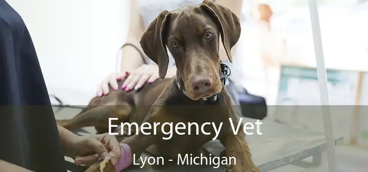 Emergency Vet Lyon - Michigan