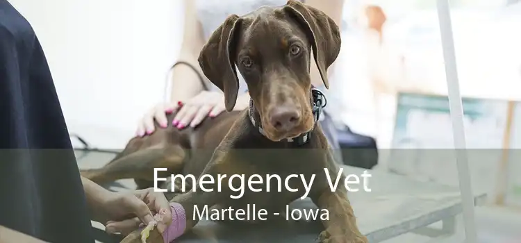 Emergency Vet Martelle - Iowa