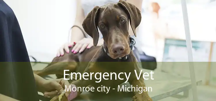 Emergency Vet Monroe city - Michigan
