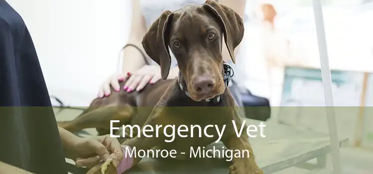 Emergency Vet Monroe - Michigan