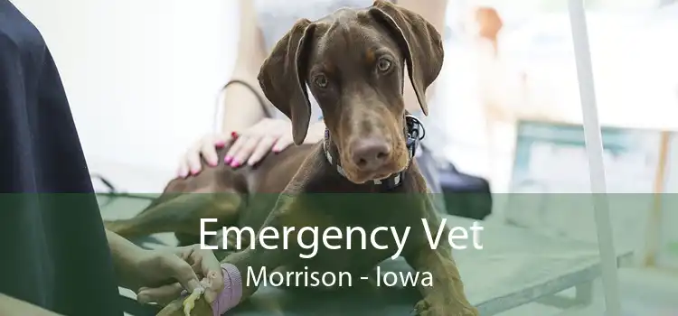 Emergency Vet Morrison - Iowa