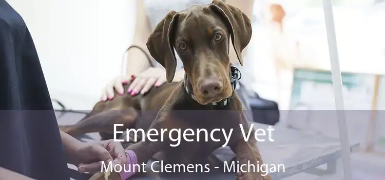 Emergency Vet Mount Clemens - Michigan