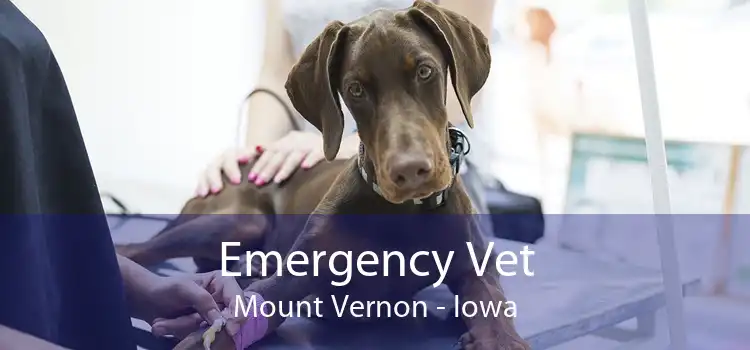 Emergency Vet Mount Vernon - Iowa