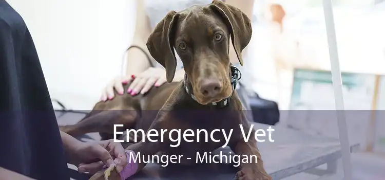 Emergency Vet Munger - Michigan