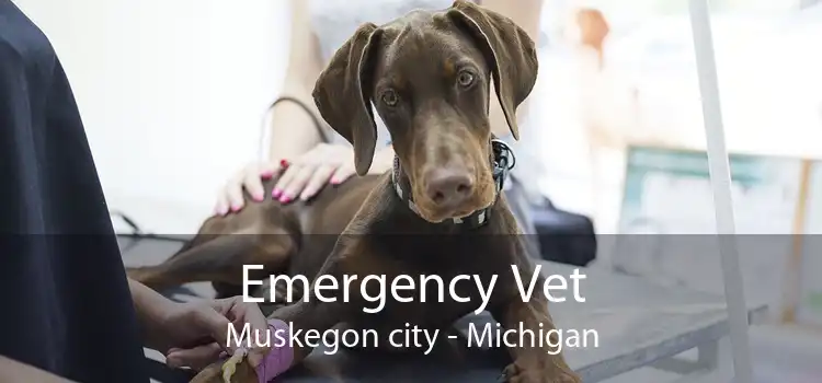 Emergency Vet Muskegon city - Michigan