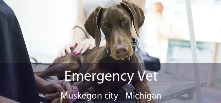 Emergency Vet Muskegon city - Michigan