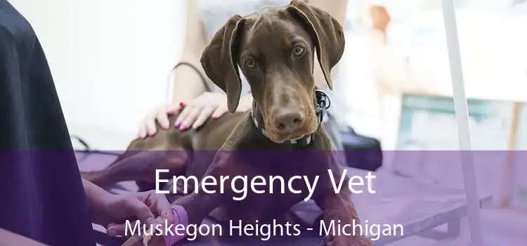 Emergency Vet Muskegon Heights - Michigan