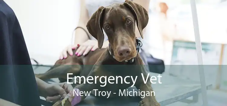 Emergency Vet New Troy - Michigan