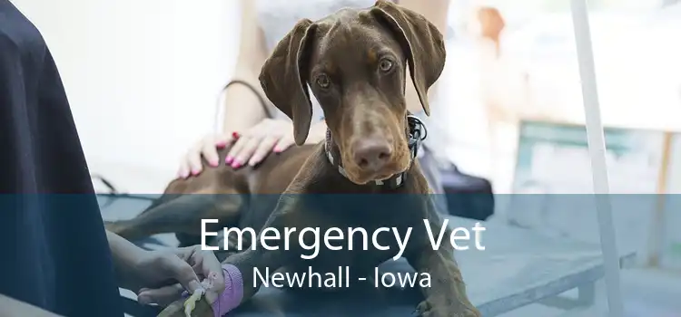 Emergency Vet Newhall - Iowa