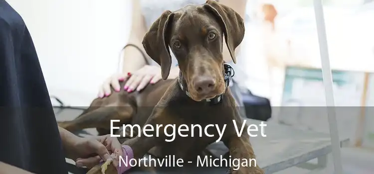 Emergency Vet Northville - Michigan