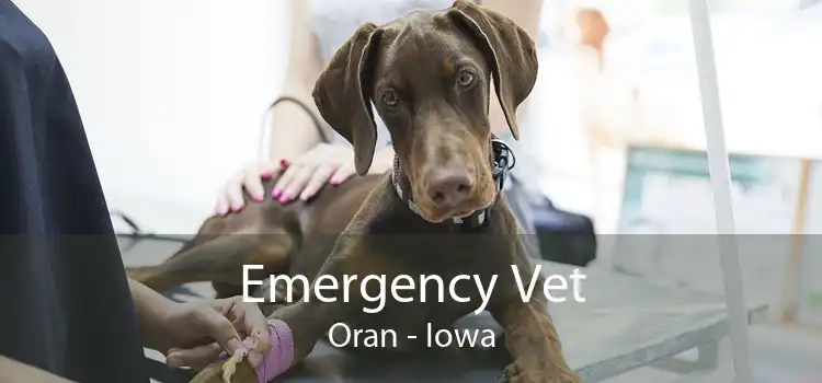 Emergency Vet Oran - Iowa