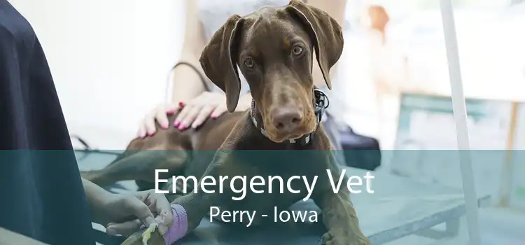 Emergency Vet Perry - Iowa