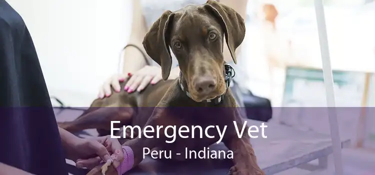 Emergency Vet Peru - Indiana