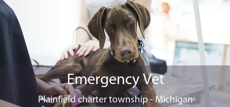 Emergency Vet Plainfield charter township - Michigan