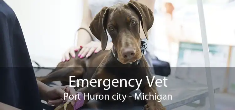 Emergency Vet Port Huron city - Michigan
