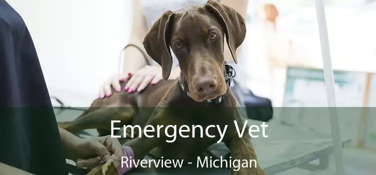 Emergency Vet Riverview - Michigan