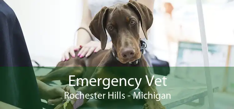 Emergency Vet Rochester Hills - Michigan