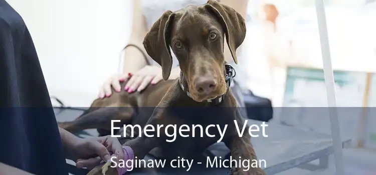 Emergency Vet Saginaw city - Michigan