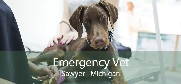 Emergency Vet Sawyer - Michigan