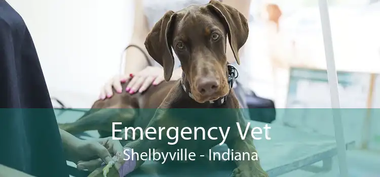 Emergency Vet Shelbyville - Indiana