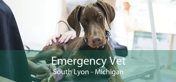 Emergency Vet South Lyon - Michigan