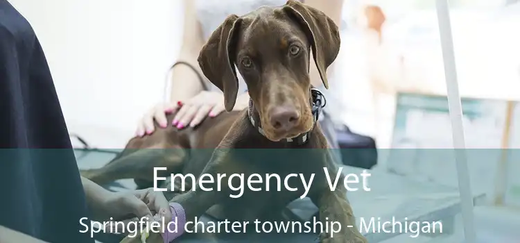 Emergency Vet Springfield charter township - Michigan