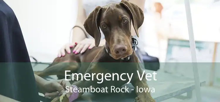 Emergency Vet Steamboat Rock - Iowa