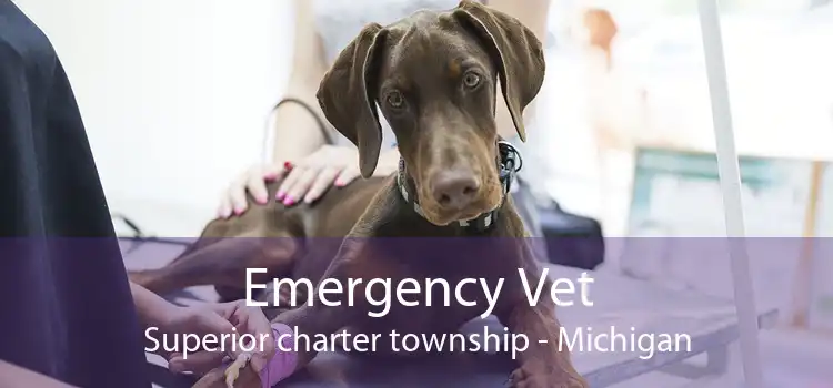 Emergency Vet Superior charter township - Michigan