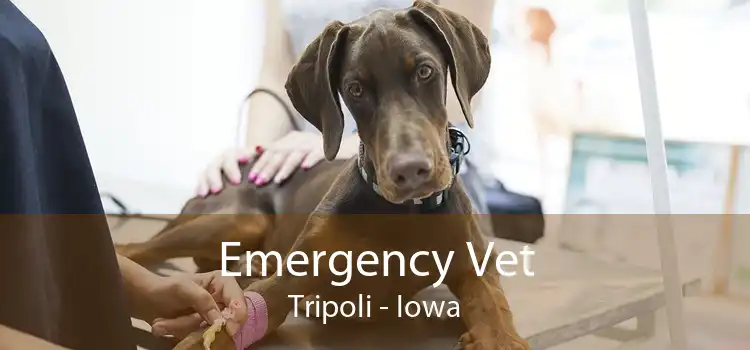 Emergency Vet Tripoli - Iowa