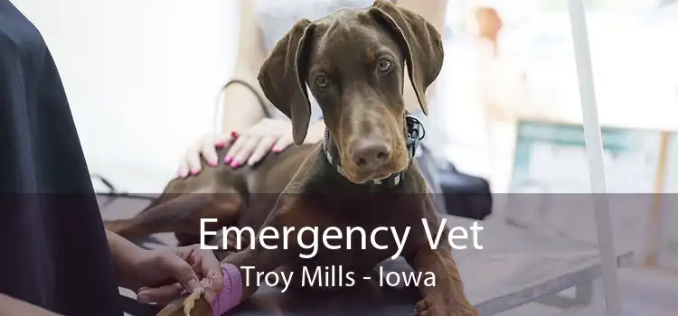 Emergency Vet Troy Mills - Iowa